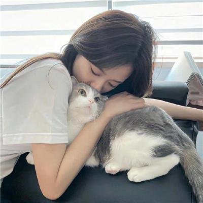 卧虎藏龙